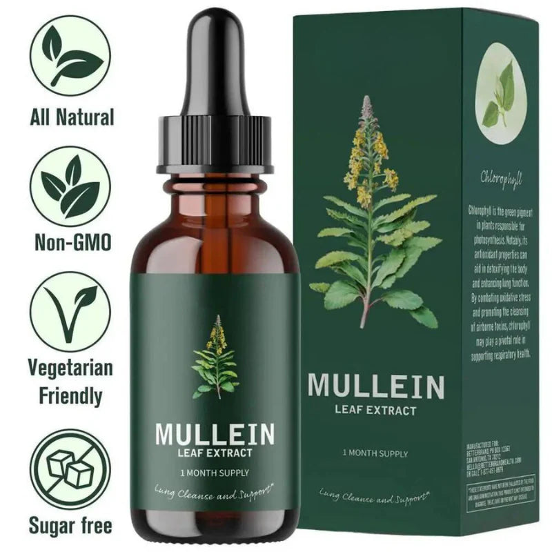 Mullein Leaf & Chlorophyll Extract