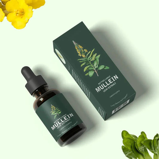 Mullein Leaf & Chlorophyll Extract