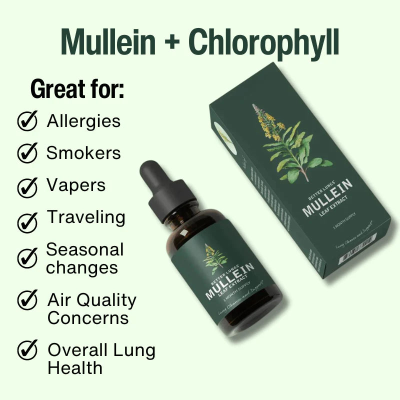 Mullein Leaf & Chlorophyll Extract