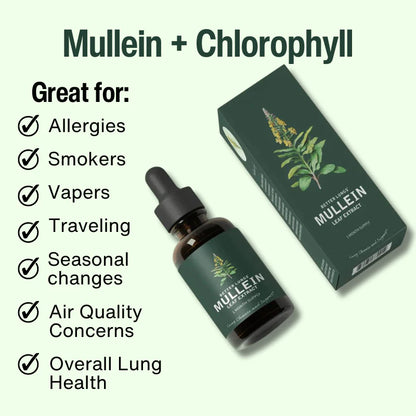 Mullein Leaf & Chlorophyll Extract