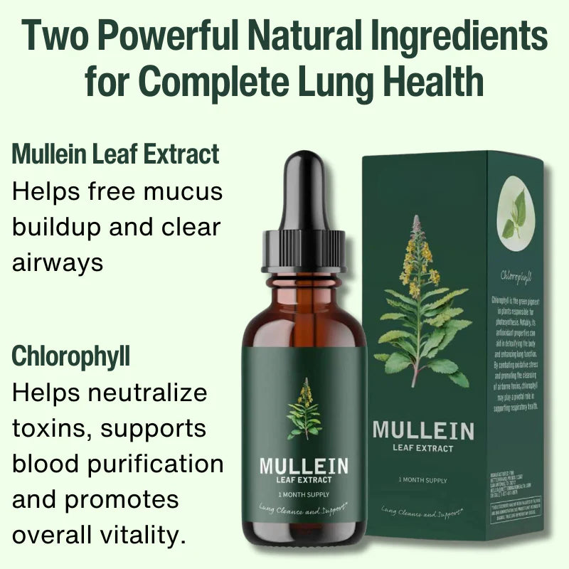 Mullein Leaf & Chlorophyll Extract