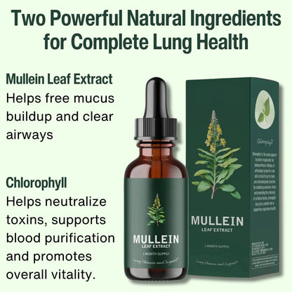 Mullein Leaf & Chlorophyll Extract